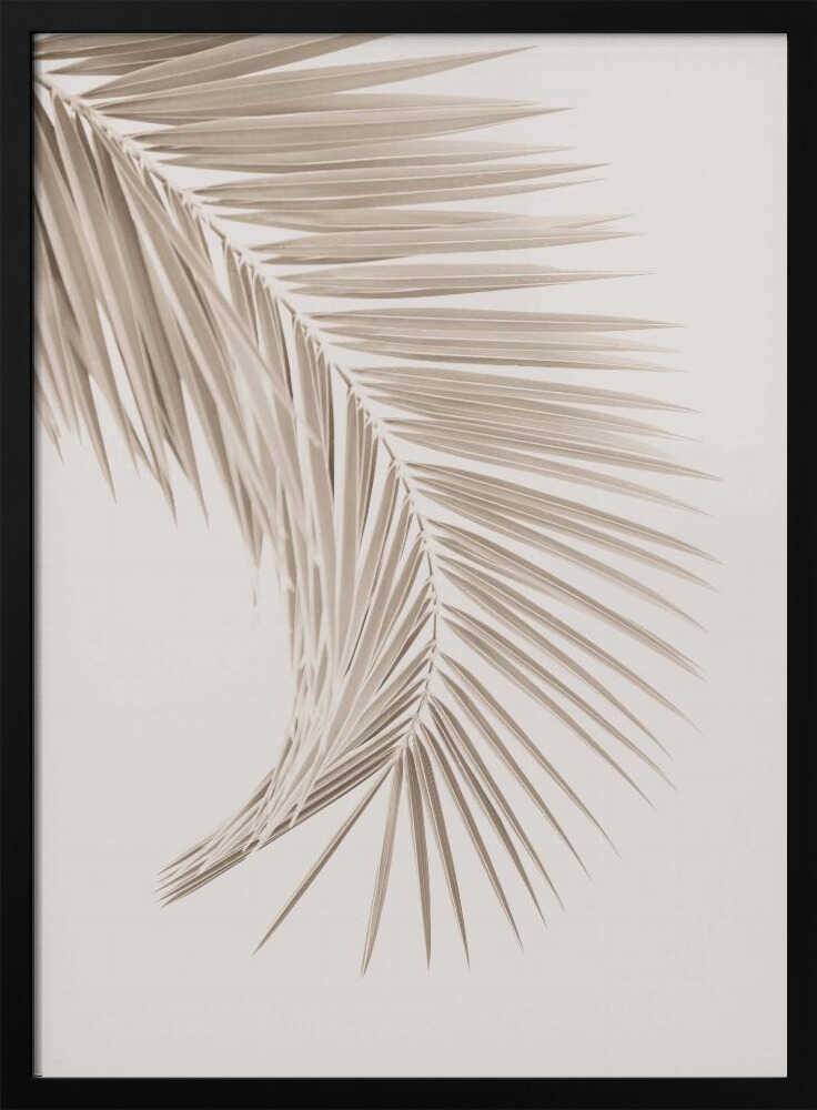 Tan Leaf Poster - 70x100 cm / 28x40″