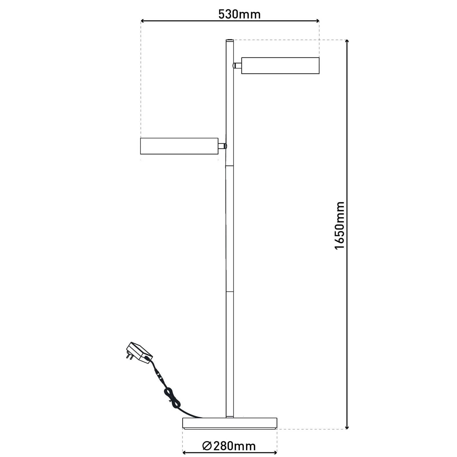 Näve LED golvlampa Tessa, dimbar, Svart, Vardagsrum / matsal, Metall, Modern, LED-golvlampa