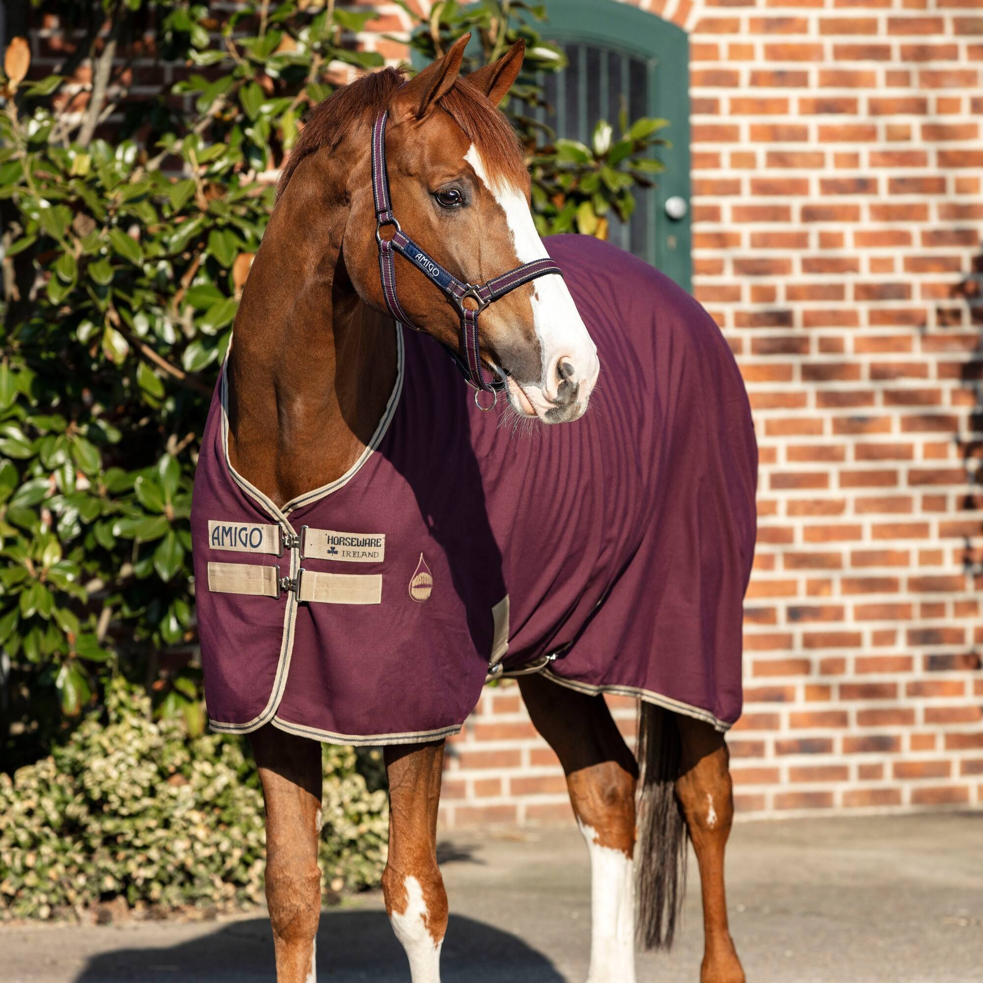 Amigo Stable Sheet - Fig/N&T, Horseware