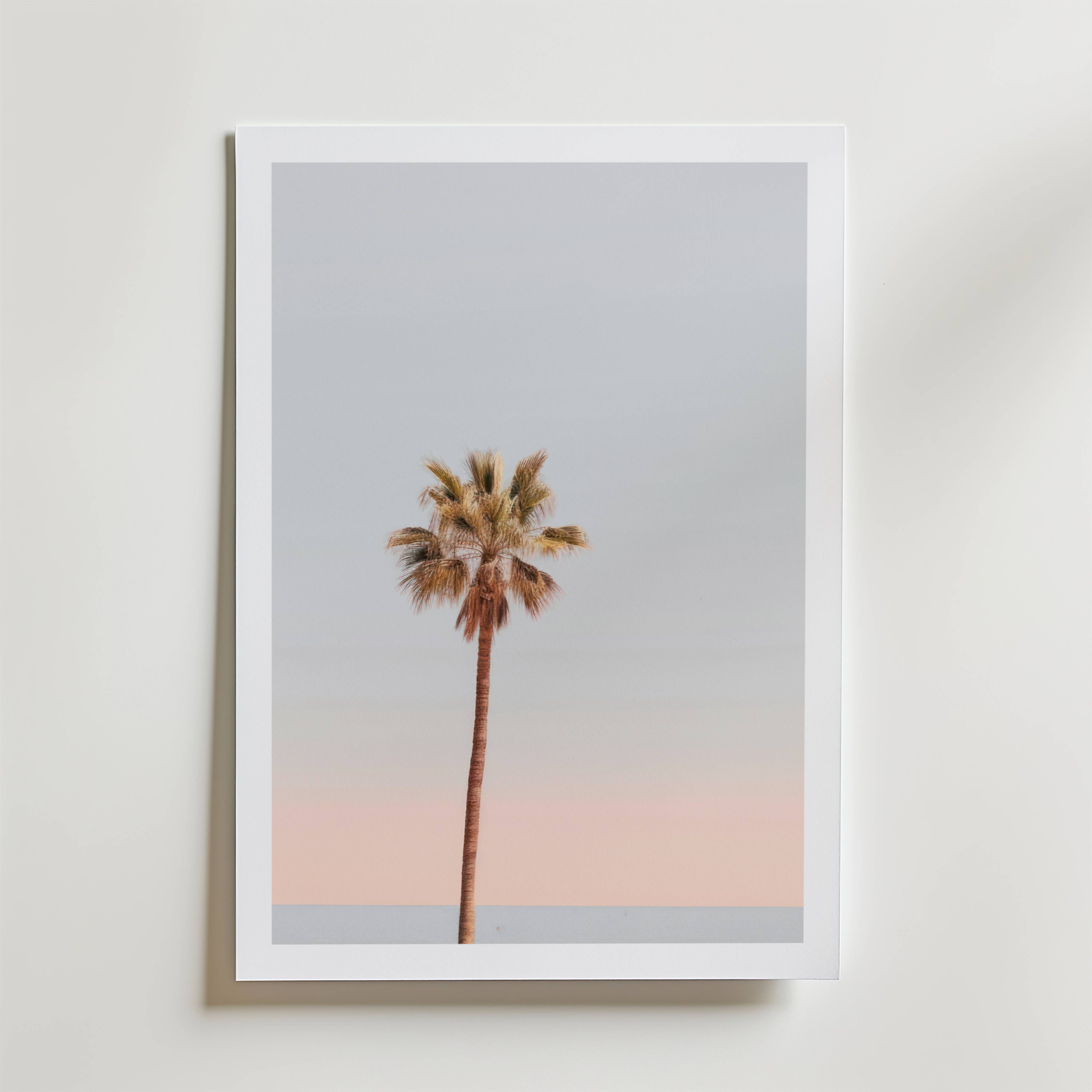Palm Sunset Poster - Fine Art Poster 30x40 cm