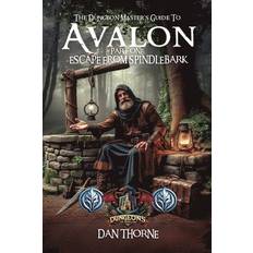 The Dungeon-Master's Guide to Avalon Part One