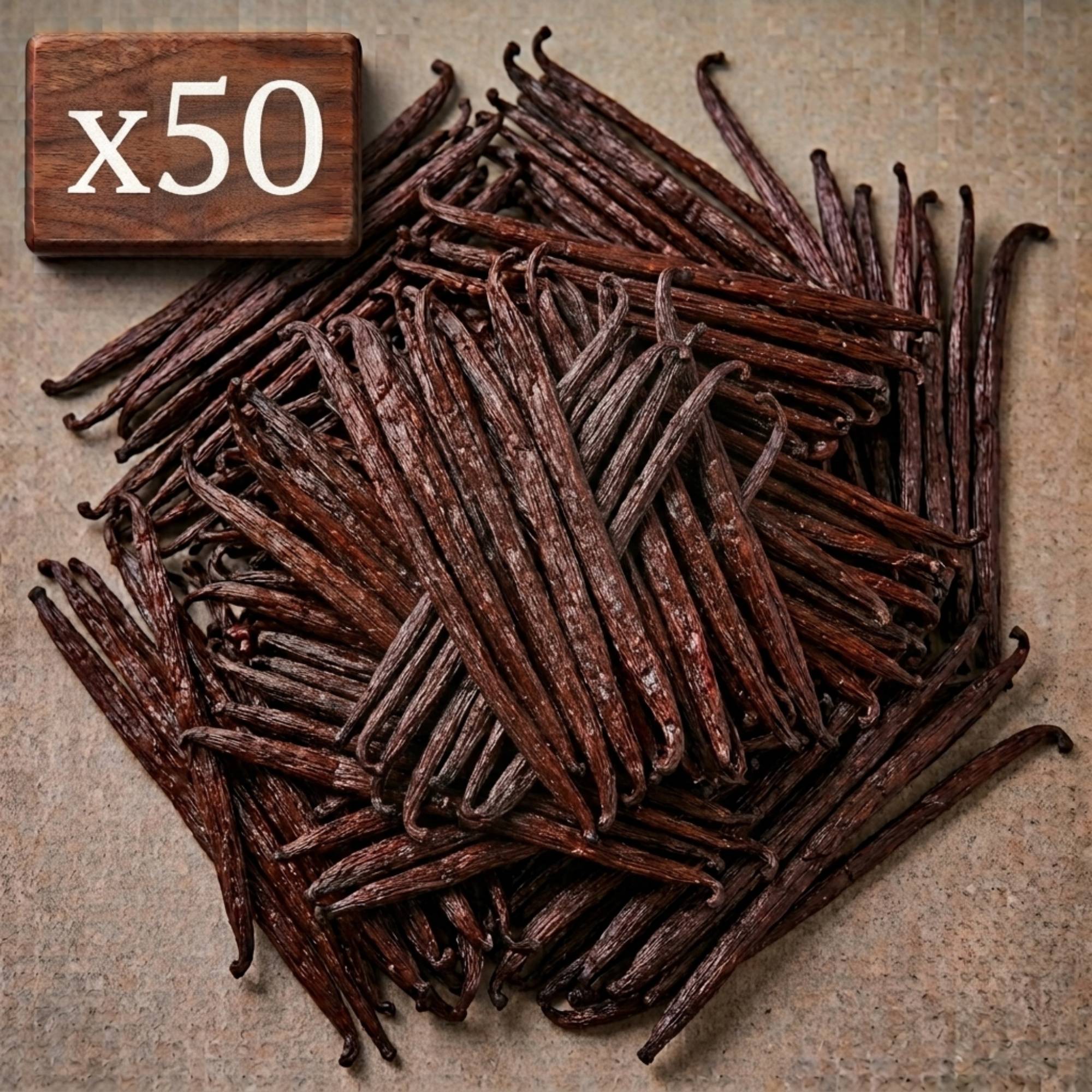 50 Premium Vanilla Pods • Extra Gourmet Quality Vanillas • Soft And Fleshy Pod • Ideal For Pastry And Cooking • Resealable Bag - Long Shelf Life • Sofia Vanilla Prestige Selection