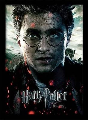 Harry Potter - Deathly Hollows Part 2 Harry- Collector Print 30X40Cm