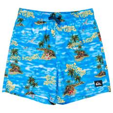 Quiksilver Kid's Everyday Straight Volley 14 Boardshorts Børn størrelse 14 Years farve blå