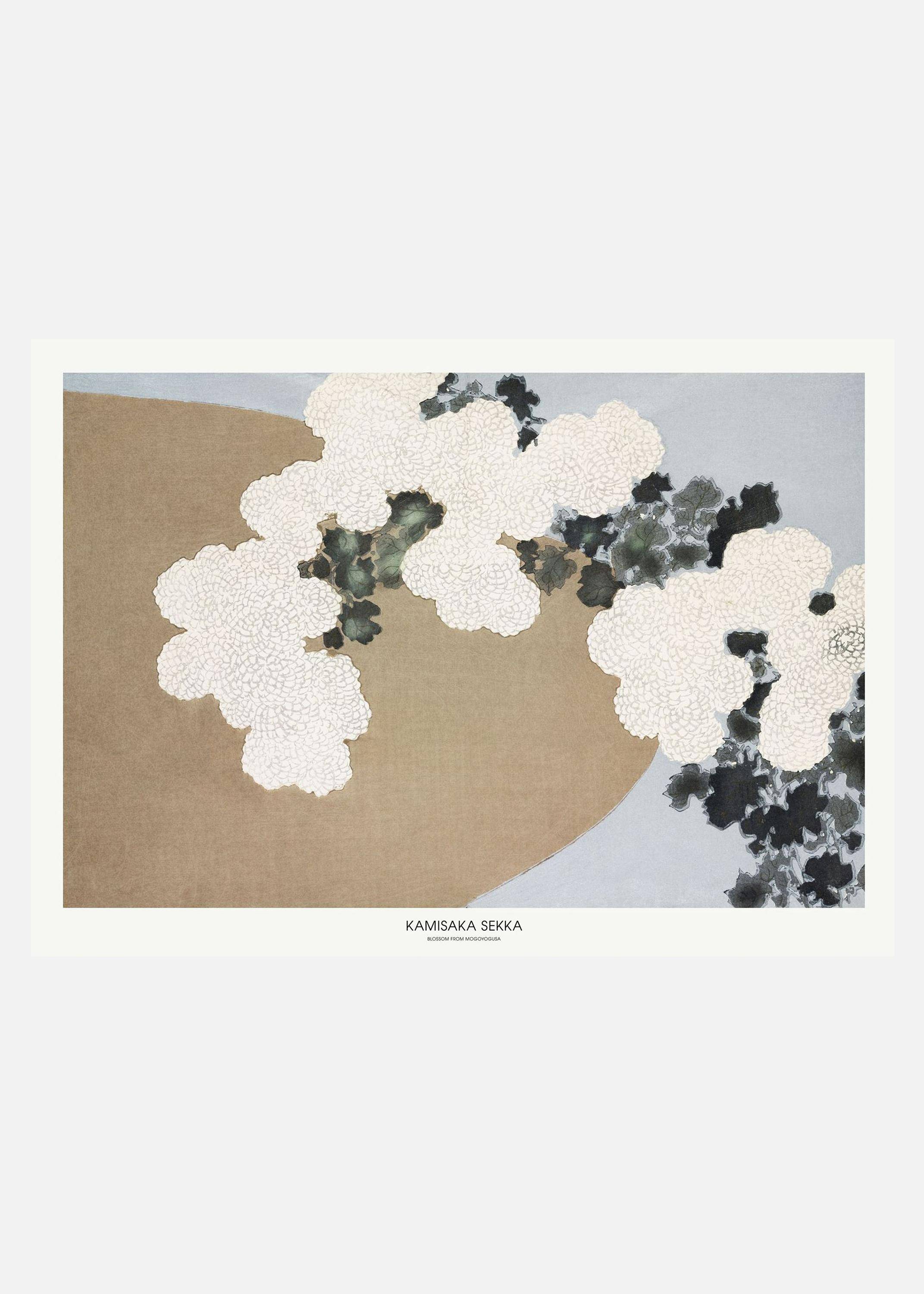 Blossom From Momoyogusa Canvastavla (70x100 cm)