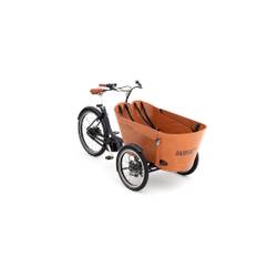 Babboe Carve Mountain
