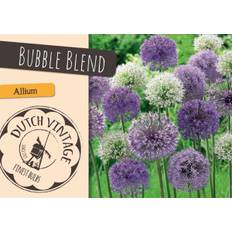 DeRee Bubble Blend
