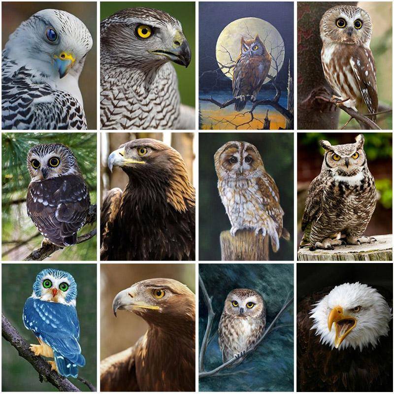 5D Diamond Mosaic Owl Handarbete DIY Full Rund Borr Diamantbroderi Korsstygn Kit Djur Rhinestones Heminredning