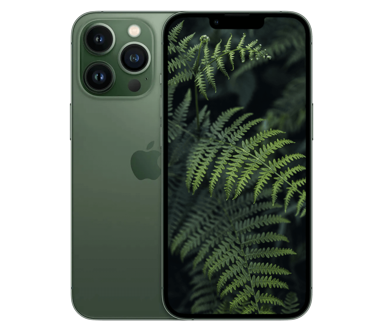 iPhone 13 Pro