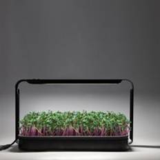Smart hydroponic microgreens indoor propagation garden Germination Kit kitchen desk led grow light growing system for home use