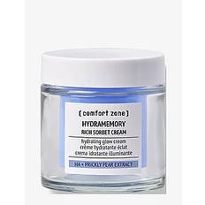 Hydramemory Rich Sorbet Cream