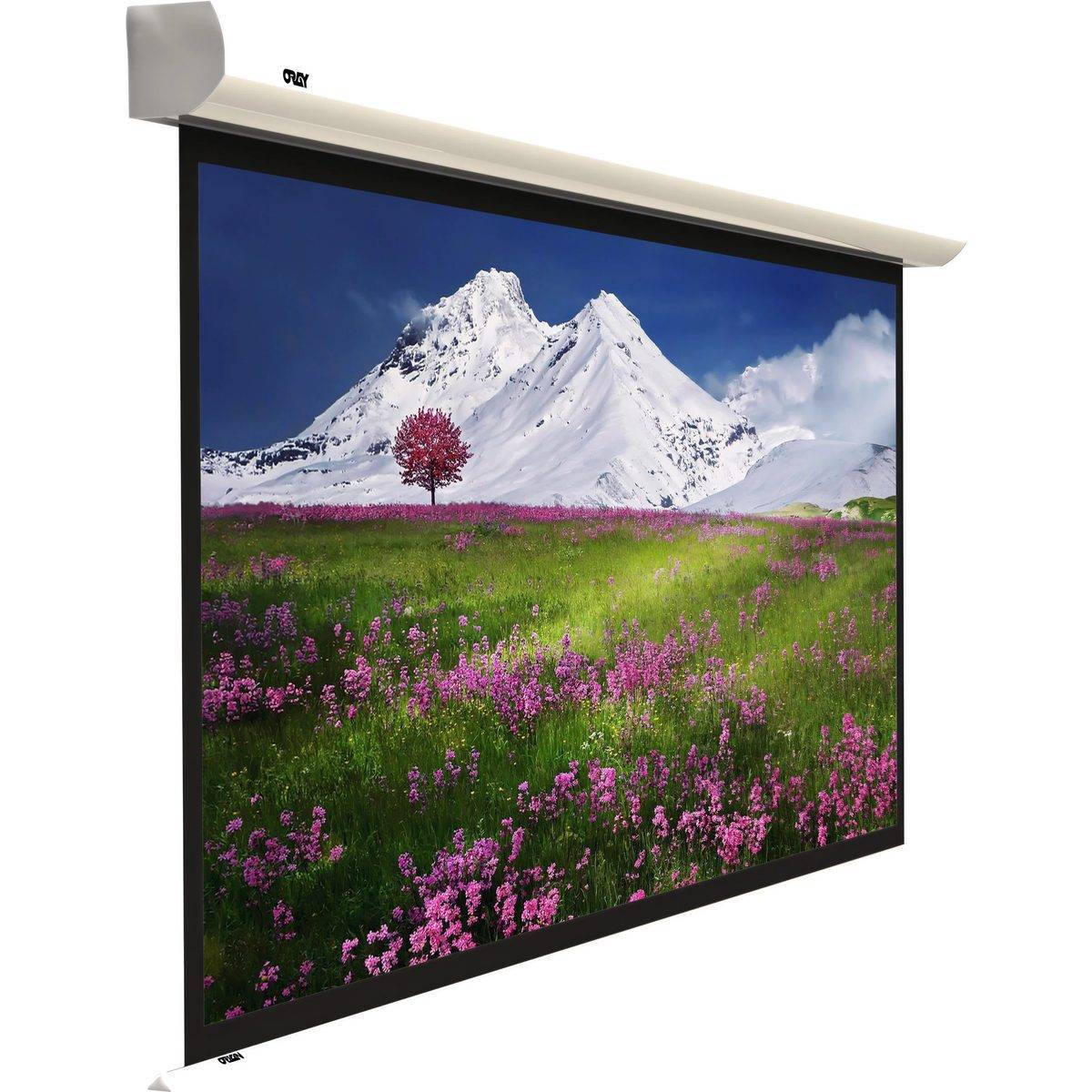 Oray Orion HC 16/9 Microperf (200 cm) - Motoriserad projektorduk, Dukvinst 1.0, IR, Akustiskt transparent tyg