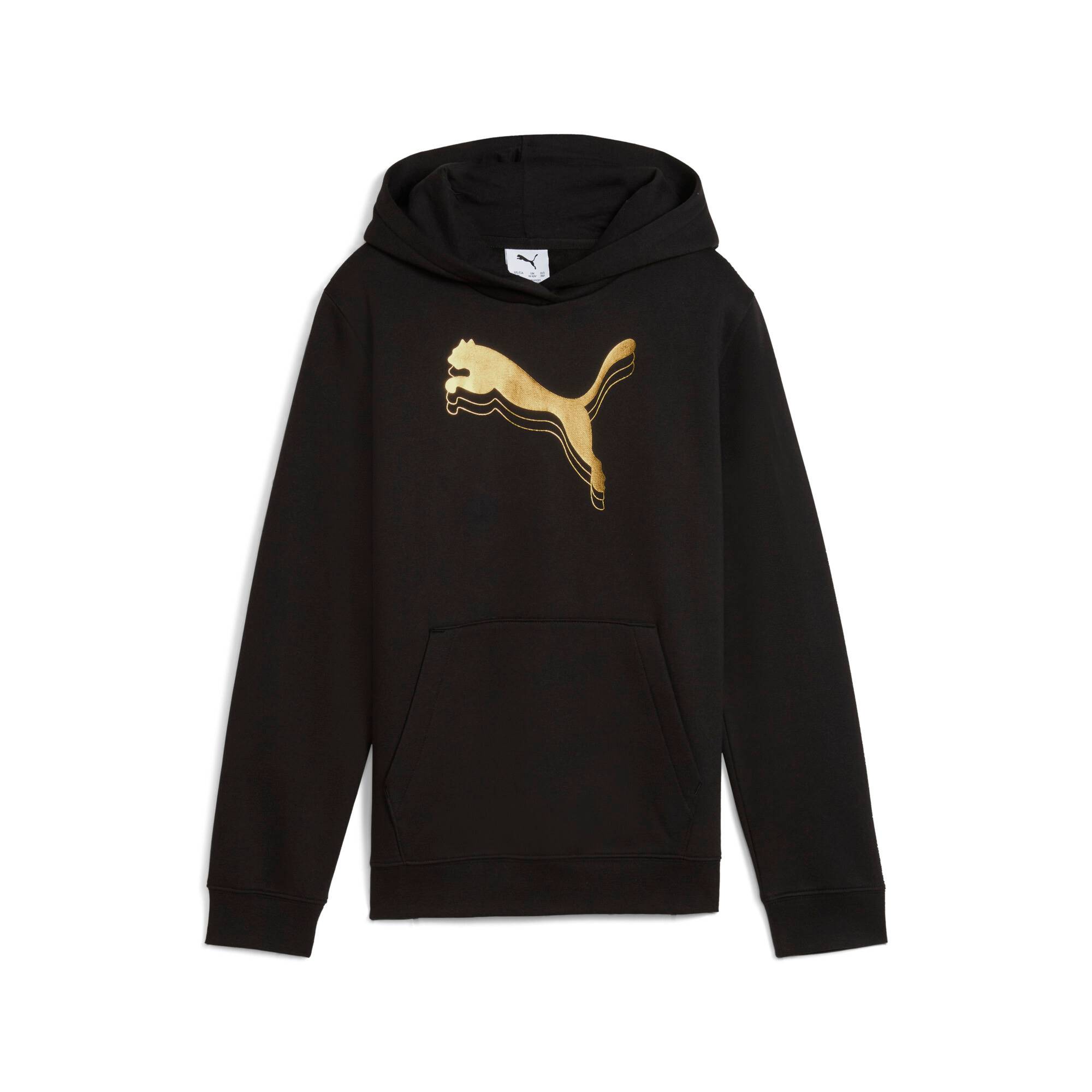 PUMA Essentials Metallic Hoodie Youth, Shop, Black/Metallic Gold, 11-12Y