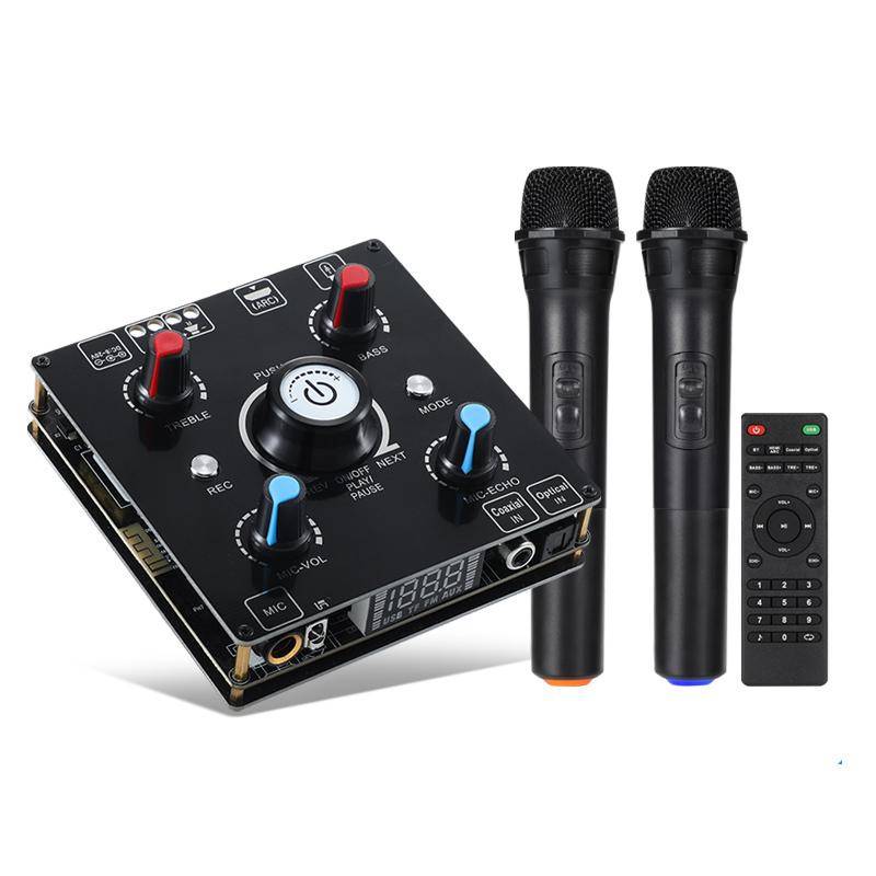 Karaokemaskin med dubbla mikrofoner Bluetooth 5.0 Ljudförstärkare Integrerad förstärkare & U-diskspelare Hemljud Subwoofersystem