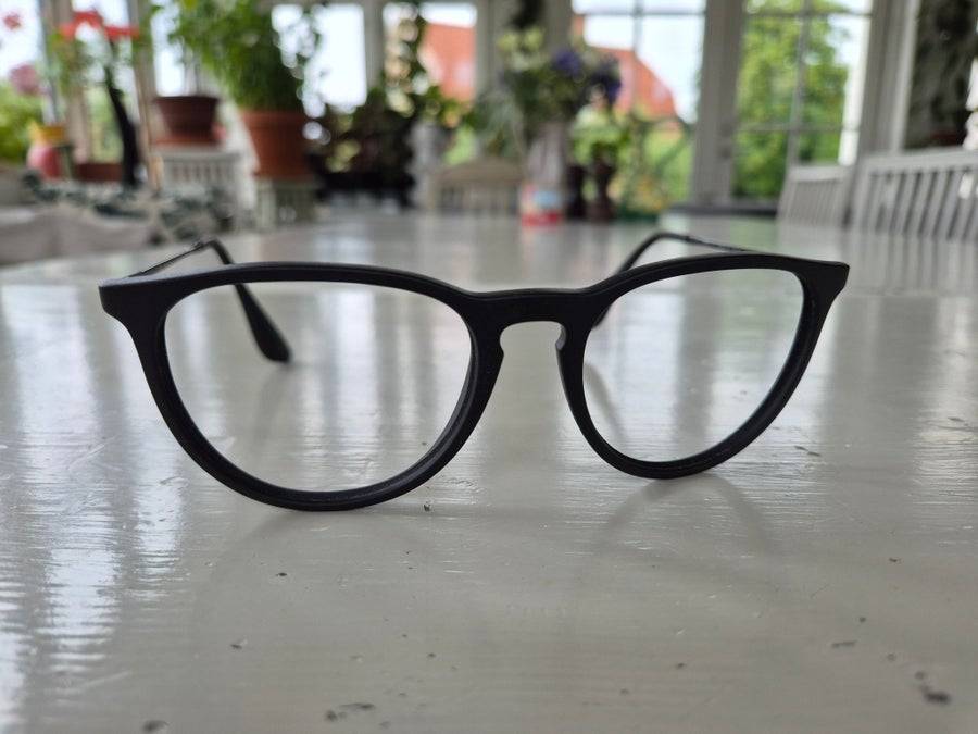 Ray-Ban Erika Solglasögon RB 4171 utan glas