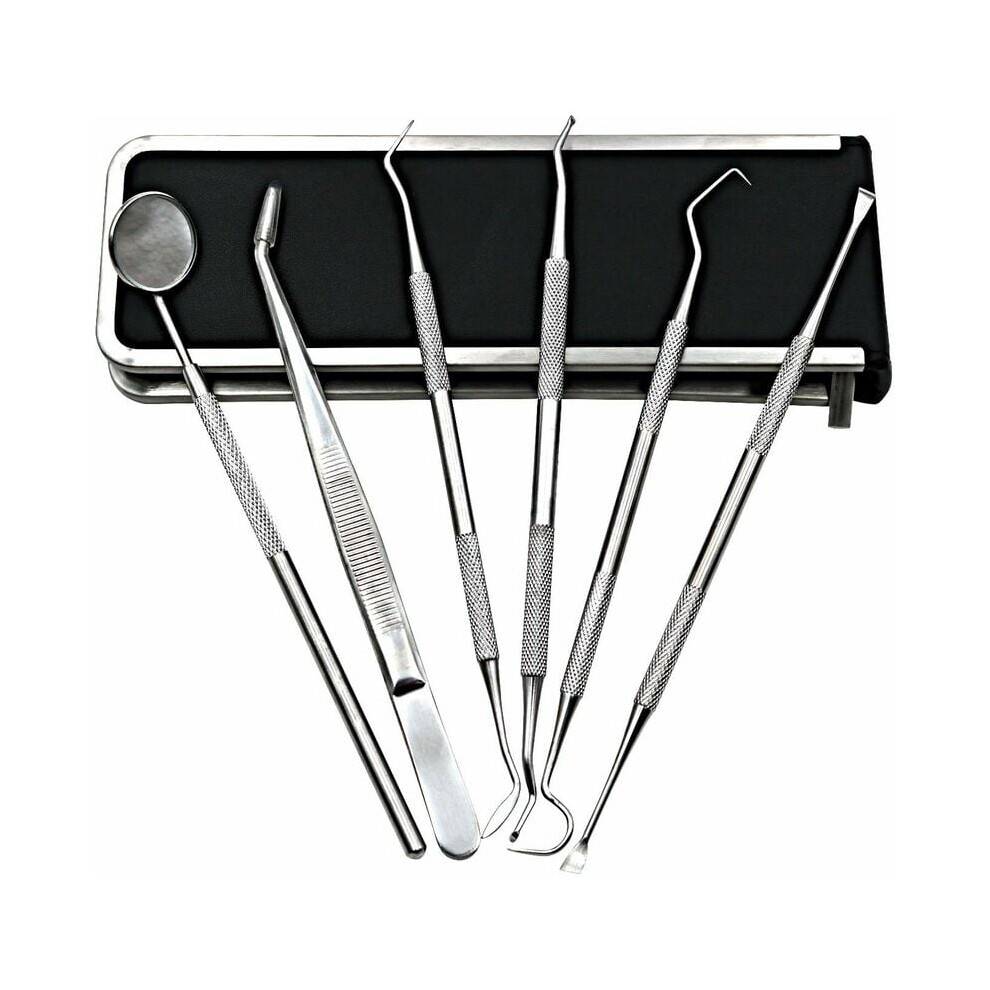 Tandhygiejne: 6 dele mundplejesæt, instrumenter i rustfrit stål til fjernelse af tandsten og plak, ergonomisk design, skridsikkert greb, velegnet.