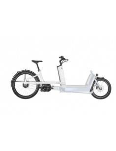 Trek Dual Sport+ 2 250Wh