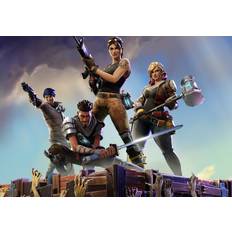 Fortnite: Save the World - Standard Founder's Pack Epic Games CD Key