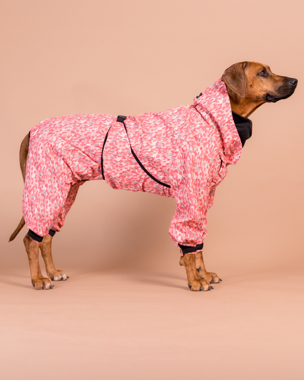 Regnoverall Hund, Röd - 35