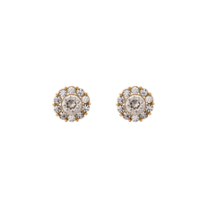 Lily And Rose - Miss Sofia Örhängen- Crystal (Guld) 61104