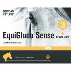 EquiGluco Sense