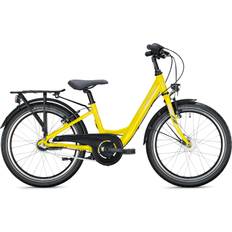 Falter FX 203 20" 2025