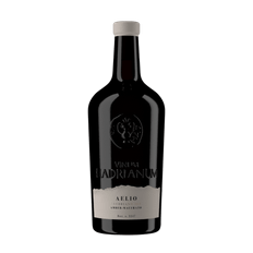 Trebbiano Aelio 2022, Orangevin - Vinum Hadrianum