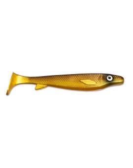 FATNOSE SHAD GOLDDIGGER