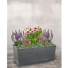 Det Rosa/Lilla Staudebed - Plantekasse m. hjul & vandreservoir - Grå