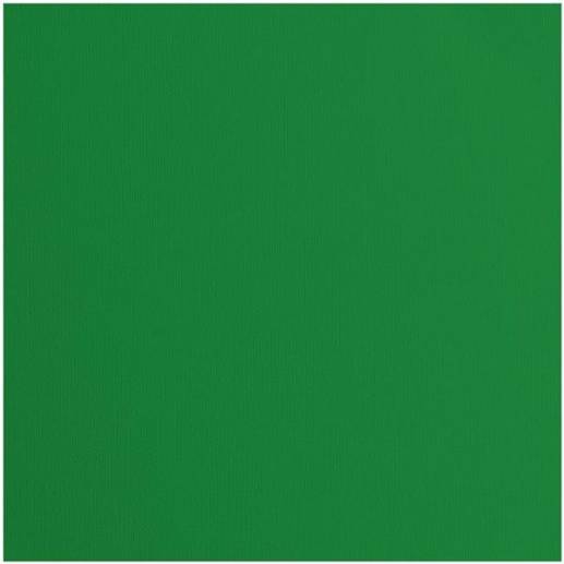 Cardstock Florence - Canvas - Broccoli