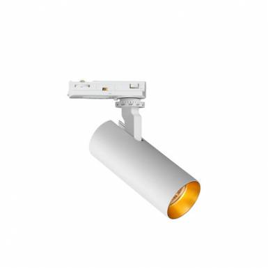 Pipe 10W 24° Vit/Guld 1-Fas-4000K-utan HC