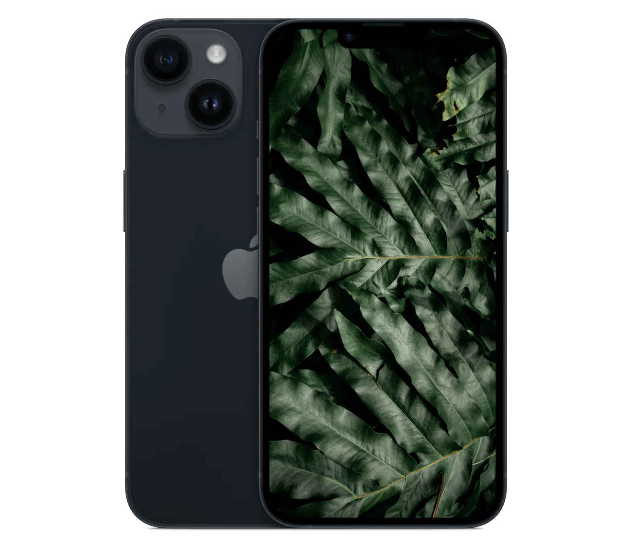 iPhone 14 Plus