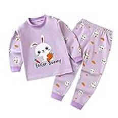 BOTCAM Barn småbarn nyfödd baby pyjamas flickor långärmad toppar byxor nattkläder pyjamas kläder set 2 stycken pyjamas jumpsuit pojkar, Ae, 2-3 år