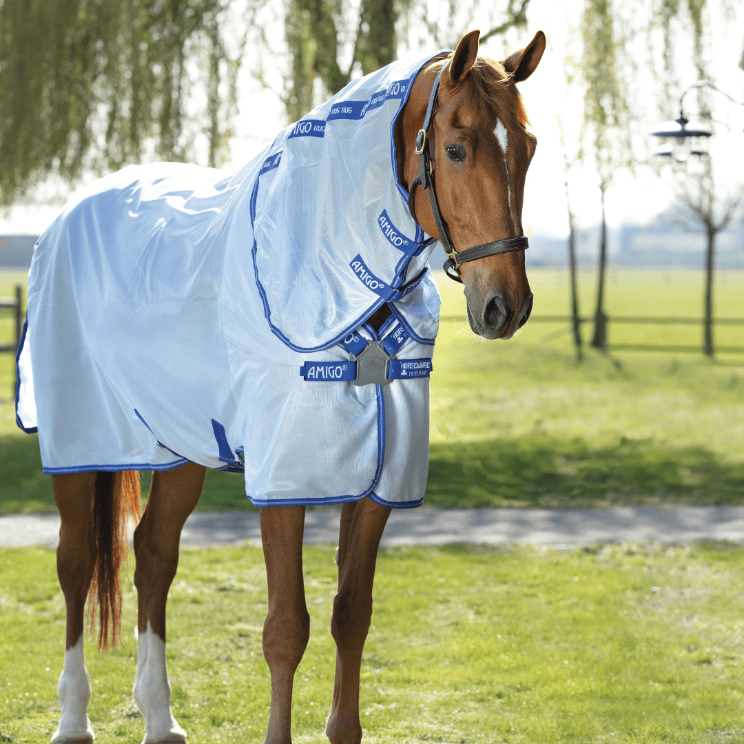 Horseware - Amigo XL Insektdækken - Blå/Sølv - Azurblå/Stærk Blå og Sølv / 145