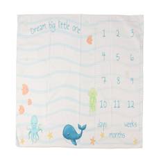Baby Milestone Blanket Approx 39.4in Wide Soft Light Machine Washable Baby Milestone Photo Prop for