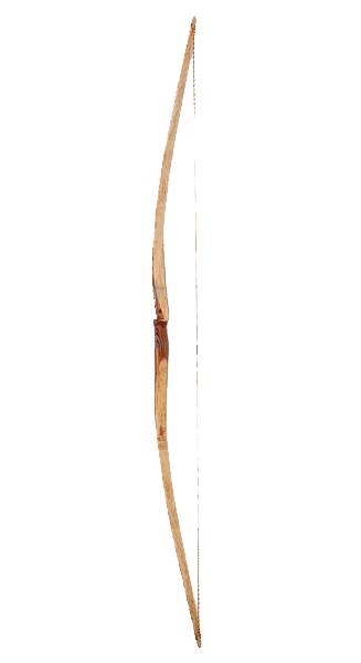 Falco langbue Triumph Vintage Zebrano/kurly birch-60 pund-Buen holdes med højre
