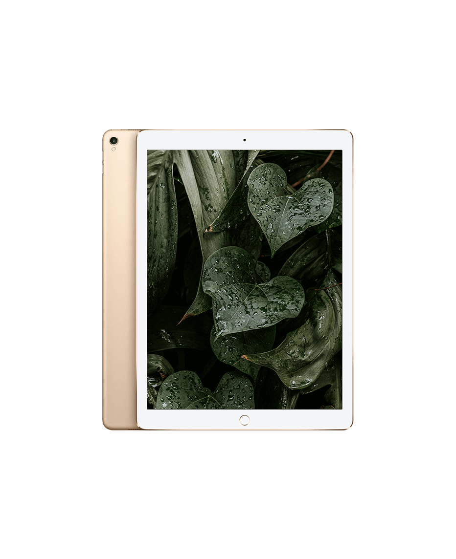 iPad Pro 2 (2017) 12.9" Wi-Fi Guld / 512GB / Okej skick