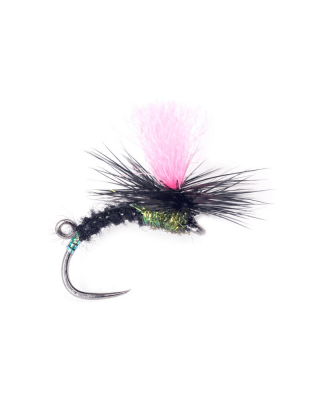 Torrfluga Indi Black Klink #12