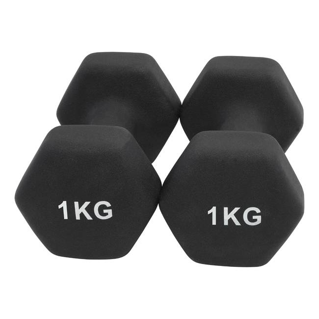 Håndvægte Basic 1kg Sort (2 stk)