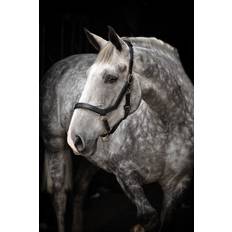 Rambo Micklem Grimma - Svart, Horseware