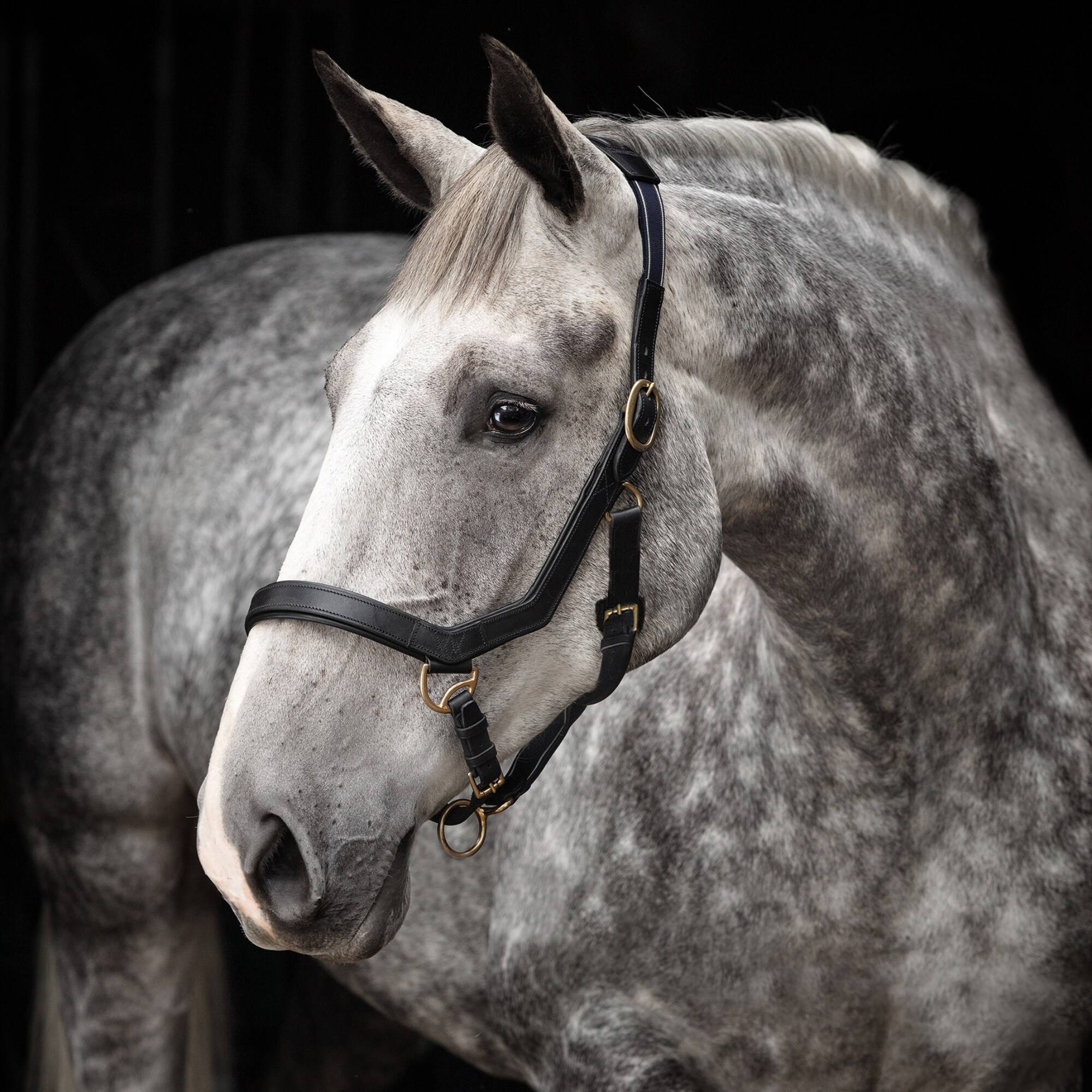Rambo Micklem Grimma - Svart, Horseware