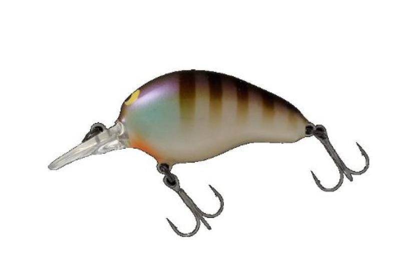 JACKALL Crankbait Geronimo Chico Flat 44mm Noike Gil 6.3g