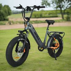 Vakole SG20 Upgraded Version 250W 20" Fat Bike Electric Trekking Bike 48V 15.6Ah Samsung Battery - Gray