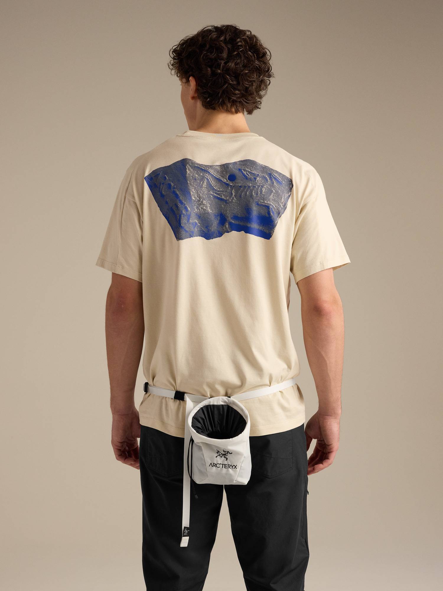 Ion SL Chalkbag