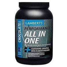Lamberts All in One, Chocolate, 1450gr