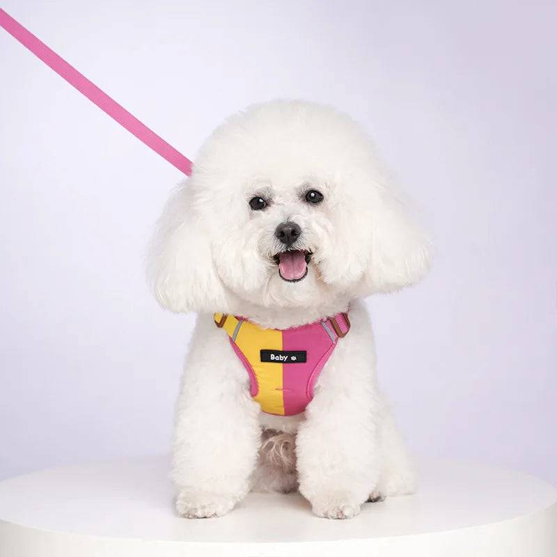 Reflective Adjustable Harness & Leash Set for Small & Medium Dogs & Cats - Yellow Pink / S (S)