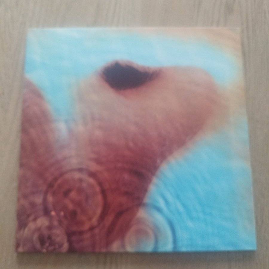 Pink Floyd - Meddle Vinyl