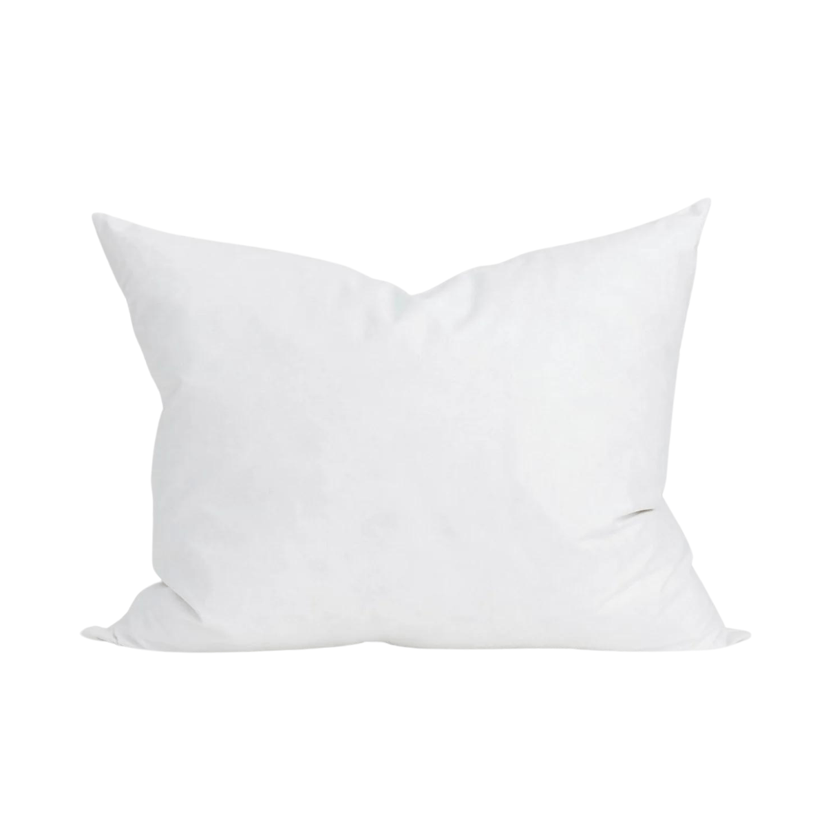 Carpe Diem Beds Innerkudde till Prydnadskudde, Gåsfjäder - 70x70
