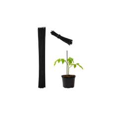 Blompinnar 30 cm i set om 50