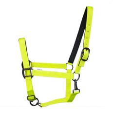 Grimma Reflex - XFull